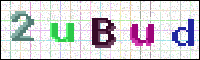 Image Verification