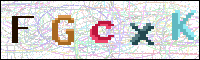 Image Verification