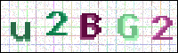 Image Verification