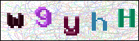 Image Verification