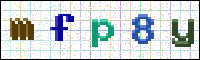 Image Verification