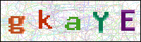 Image Verification