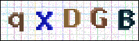 Image Verification