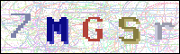 Image Verification
