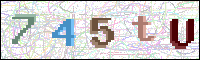 Image Verification