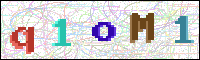 Image Verification