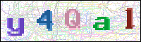 Image Verification