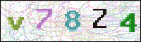 Image Verification