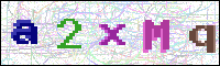 Image Verification