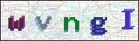 Image Verification