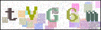 Image Verification