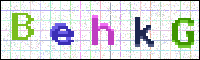 Image Verification