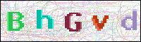 Image Verification