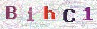 Image Verification