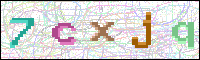 Image Verification