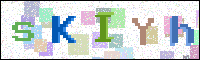 Image Verification