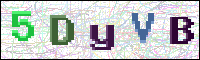 Image Verification