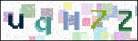 Image Verification