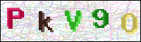 Image Verification