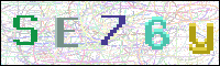 Image Verification