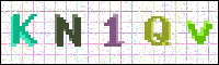Image Verification