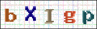 Image Verification
