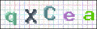 Image Verification