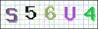 Image Verification