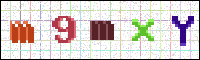 Image Verification