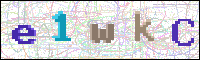 Image Verification