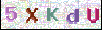 Image Verification