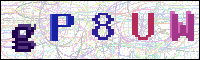 Image Verification