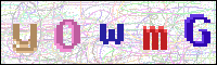 Image Verification