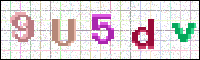 Image Verification