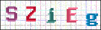 Image Verification