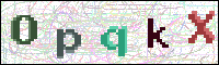 Image Verification