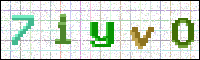 Image Verification
