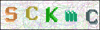 Image Verification
