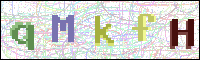 Image Verification