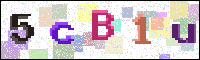 Image Verification