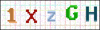 Image Verification