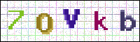 Image Verification