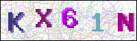 Image Verification