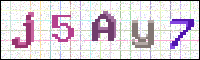 Image Verification