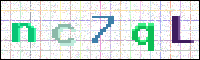 Image Verification
