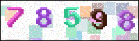 Image Verification