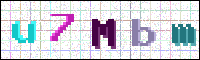 Image Verification