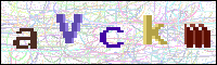 Image Verification