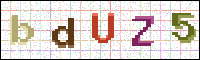 Image Verification