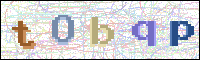 Image Verification